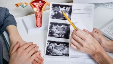 Các yếu tố ảnh hưởng đến chất lượng trứng và khả năng thụ thai