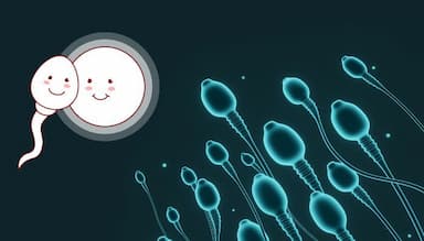 Dấu hiệu tinh trùng bất thường: Mùi hôi có đáng lo không?