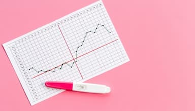 Cách xác định ngày rụng trứng theo chu kỳ kinh nguyệt