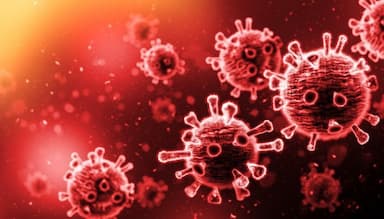Trichomonas: Bệnh tình dục thường bị bỏ qua