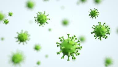 Bệnh giang mai (Syphilis): Các giai đoạn và dấu hiệu nhận biết